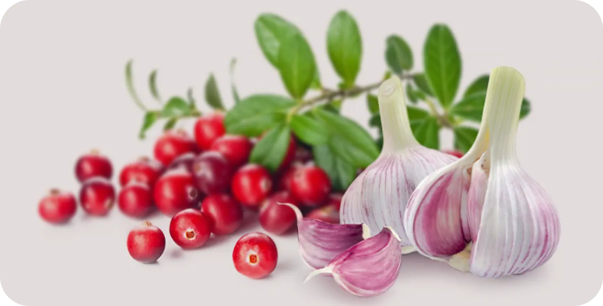 CranBerries and Onions
